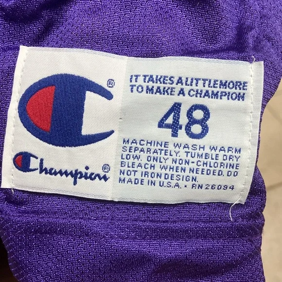 Vintage Champion Toronto Raptors Damon Stoudamire #20 Jersey - Picture 3 of 6